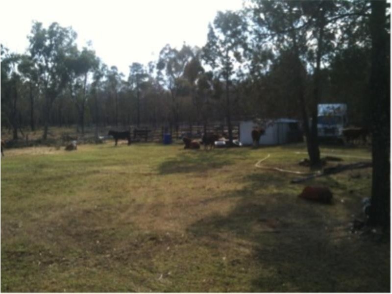 109 Brooklyn Road, Leyburn QLD 4365