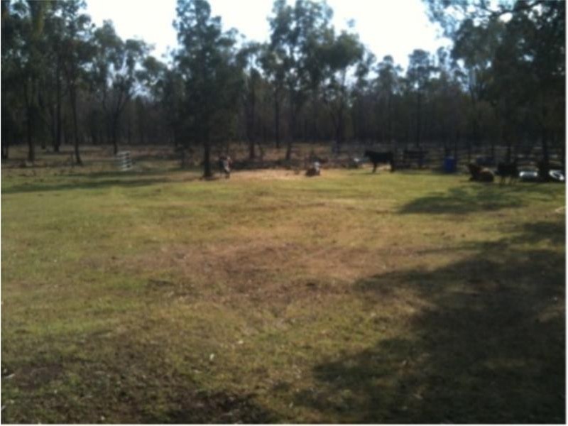 109 Brooklyn Road, Leyburn QLD 4365