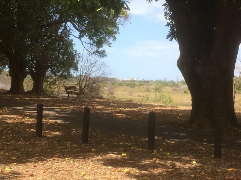 46 Mango Avenue, Mundingburra QLD 4812