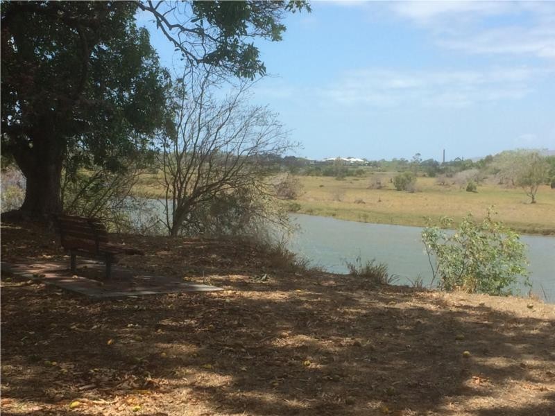 46 Mango Avenue, Mundingburra QLD 4812