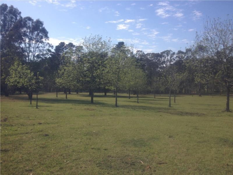 Lot 221 Old Maitland Road, Sawyers Gully NSW 2326