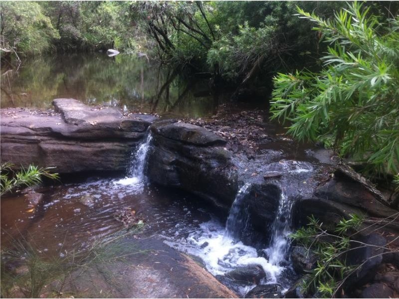 656 Yabbra Road, Old Bonalbo NSW 2469