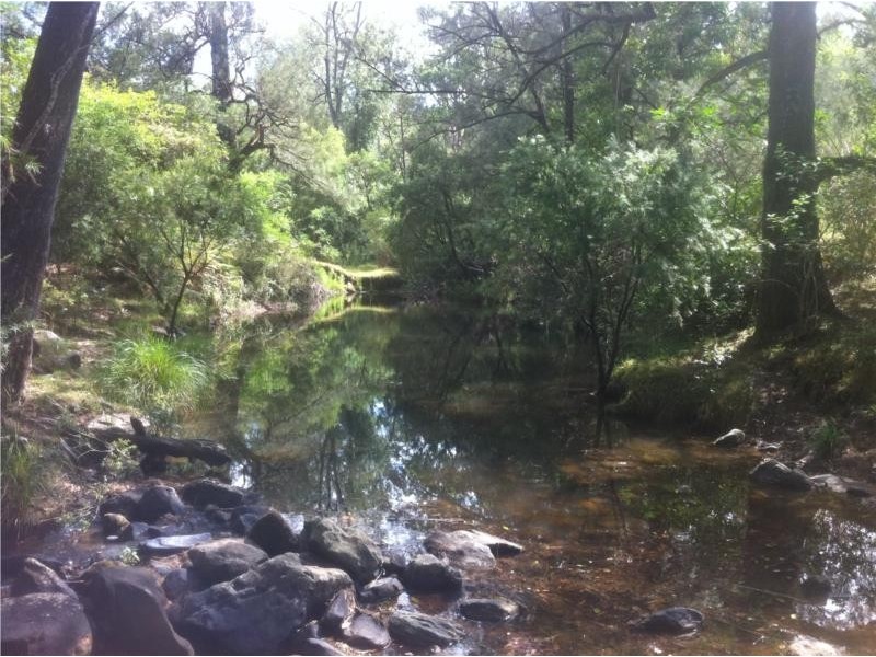 656 Yabbra Road, Old Bonalbo NSW 2469