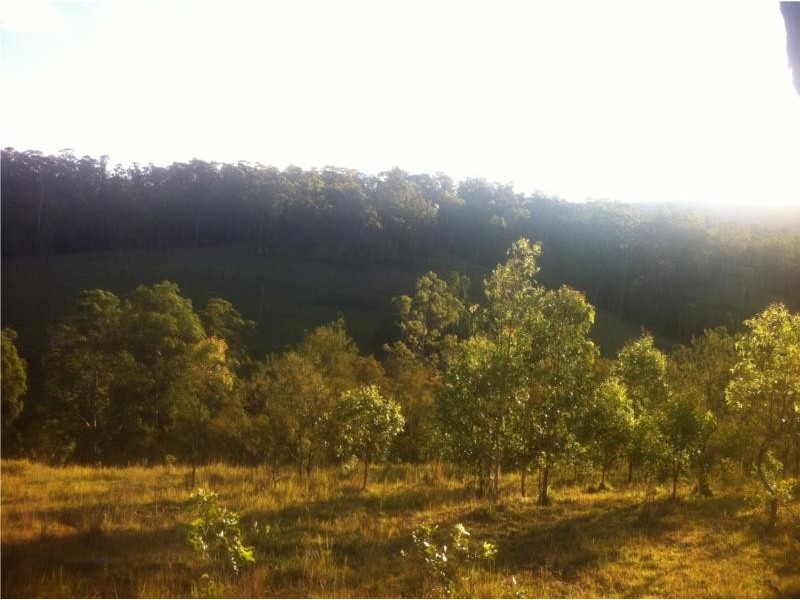 656 Yabbra Road, Old Bonalbo NSW 2469