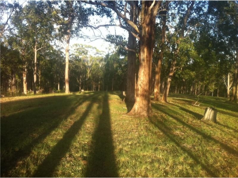 656 Yabbra Road, Old Bonalbo NSW 2469