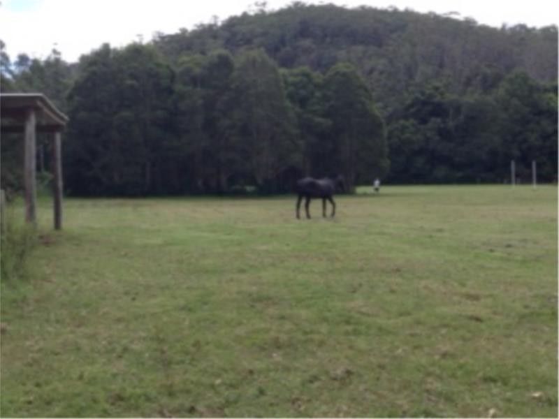 17 Cherry Lane, Fountaindale NSW 2258