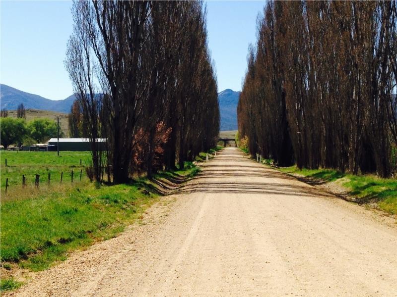 2 Micalago Road, Michelago NSW 2620