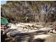Lot 5 Wild Dog Road, D’estrees Bay SA 5223