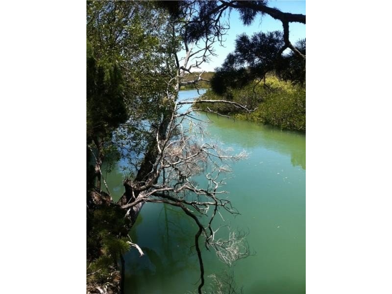 133 Davenport Drive, Coonarr QLD 4670