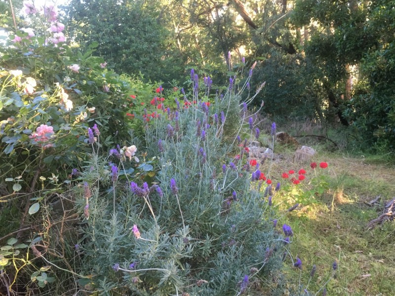 Crafers West SA 5152