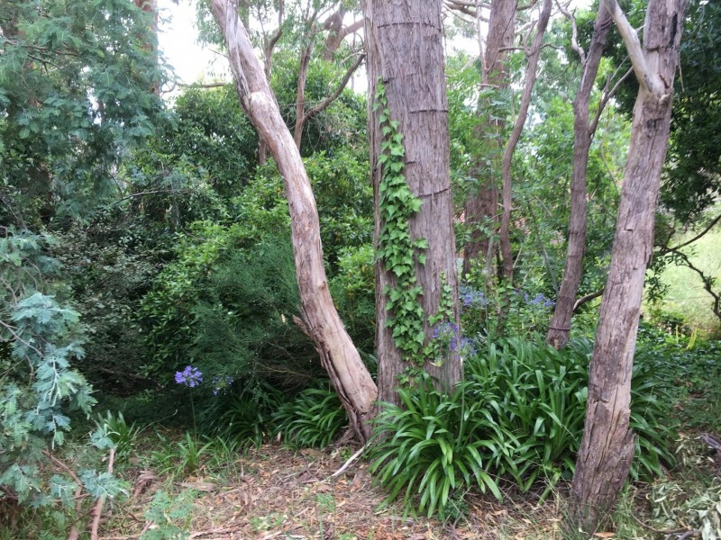 Crafers West SA 5152