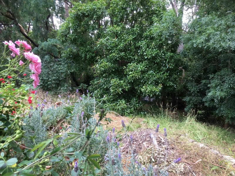 Crafers West SA 5152