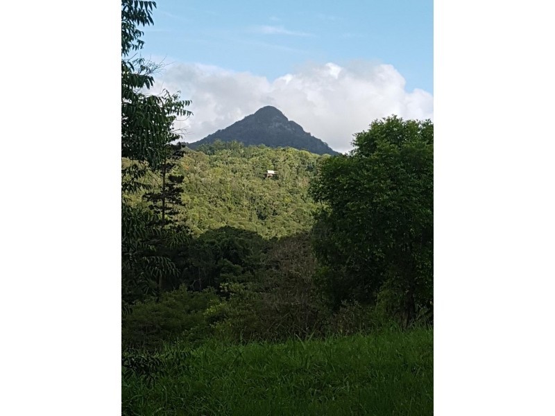 57 Whispering Gum Avenue, Eumundi QLD 4562