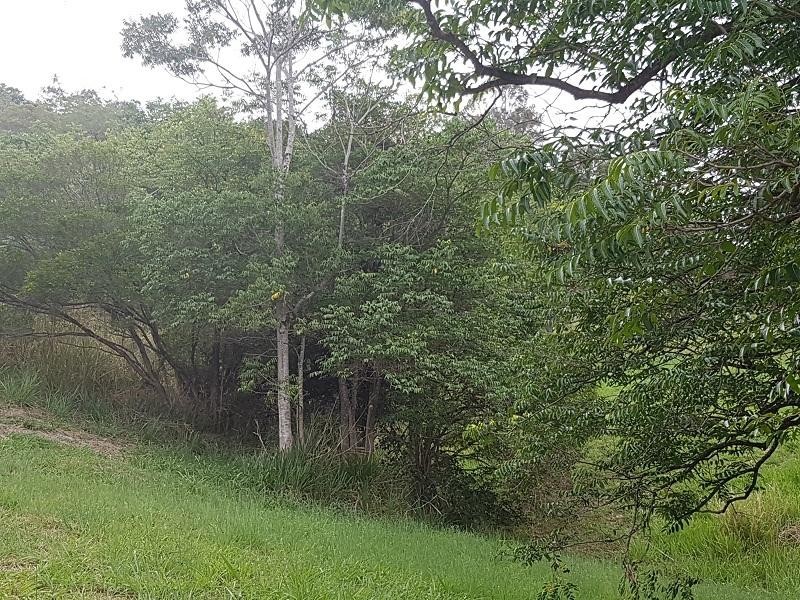 57 Whispering Gum Avenue, Eumundi QLD 4562