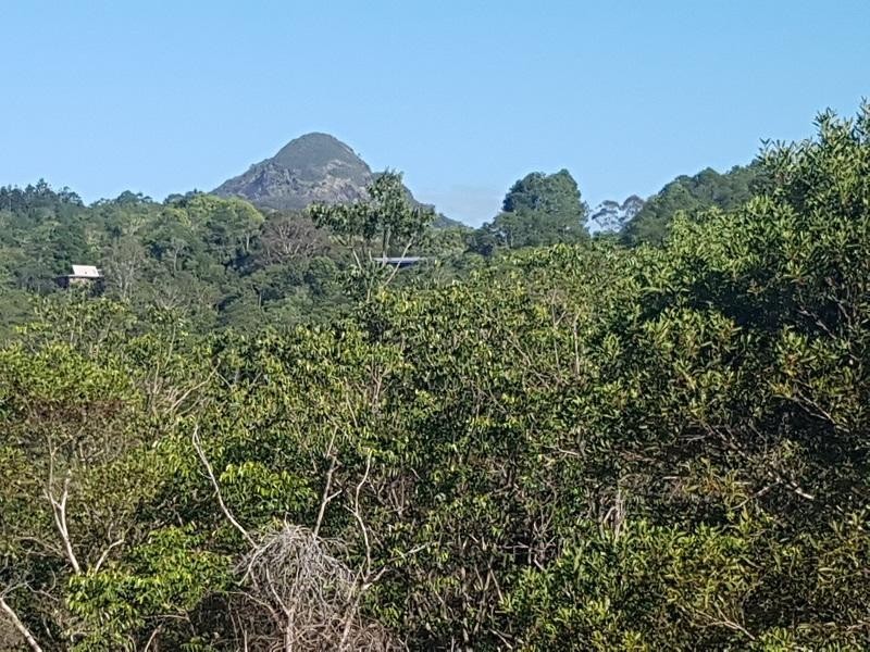 16 Blueberry Lane, Eumundi QLD 4562