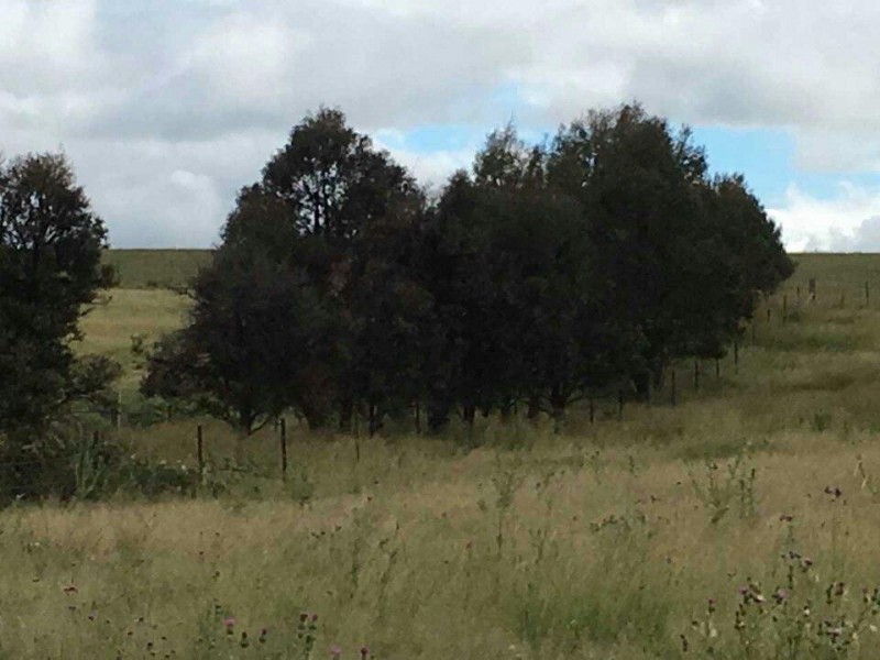Lot 3 Barney Downs Road, Tenterfield NSW 2372