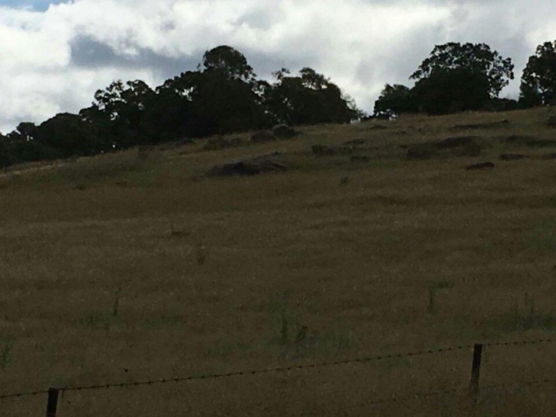 Lot 3 Barney Downs Road, Tenterfield NSW 2372