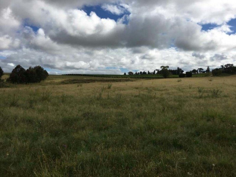Lot 3 Barney Downs Road, Tenterfield NSW 2372
