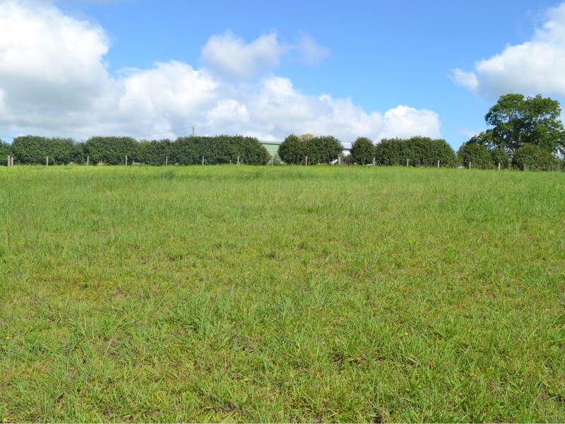Lot 51 Tallowwood Street, Maleny QLD 4552