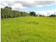Lot 51 Tallowwood Street, Maleny QLD 4552