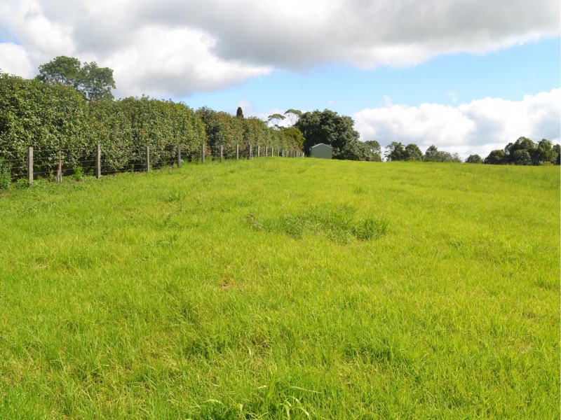 Lot 51 Tallowwood Street, Maleny QLD 4552