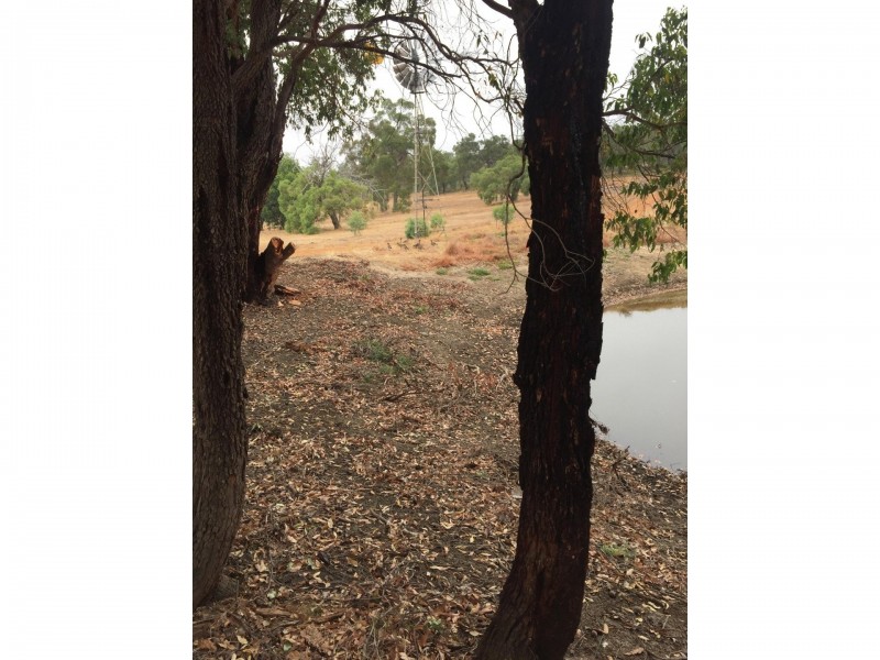 84 Guernsey Rise, Lower Chittering WA 6084