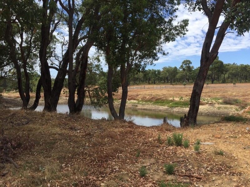 84 Guernsey Rise, Lower Chittering WA 6084