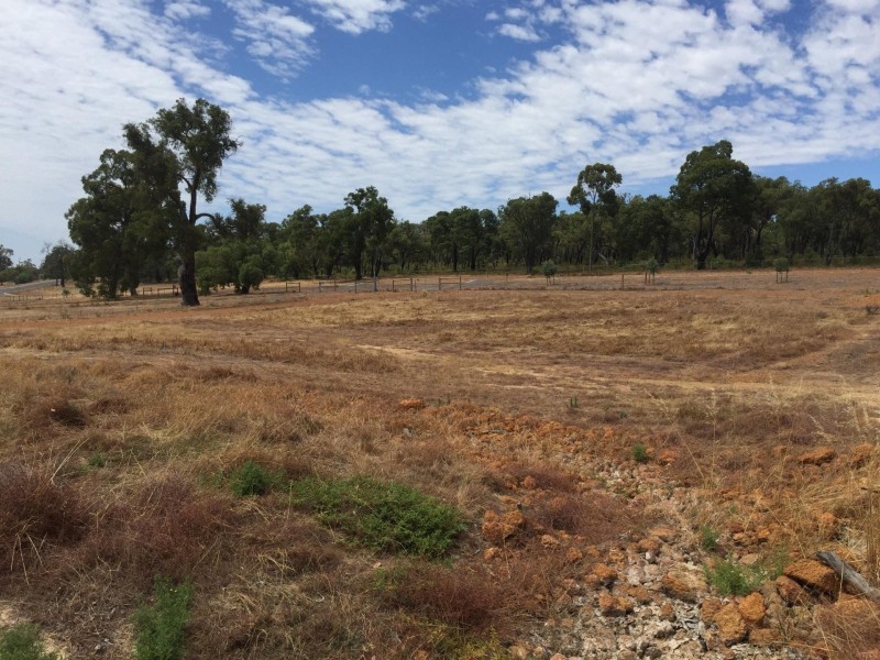 84 Guernsey Rise, Lower Chittering WA 6084