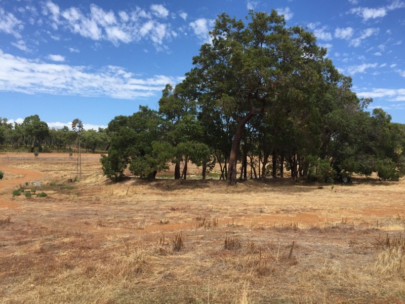 84 Guernsey Rise, Lower Chittering WA 6084