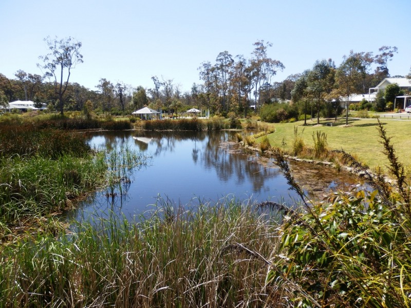 64 Seagrass Avenue, Bayswood Estate, Vincentia NSW 2540