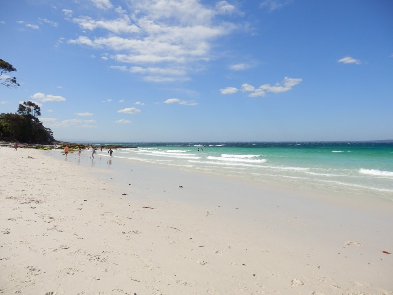 64 Seagrass Avenue, Bayswood Estate, Vincentia NSW 2540