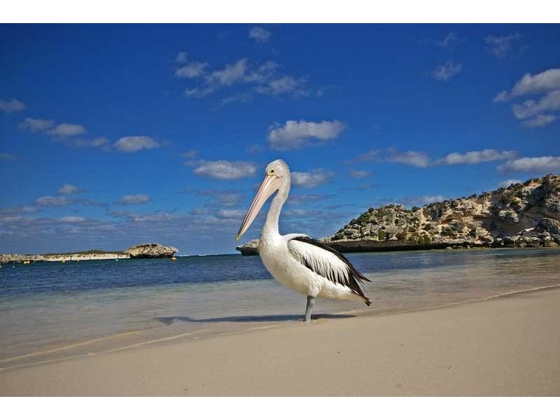 27 Rand Avenue, Waikiki WA 6169