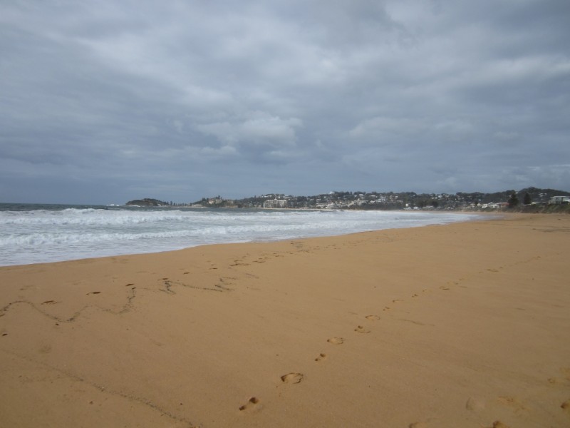 85 Blue Bell Drive, Wamberal NSW 2260