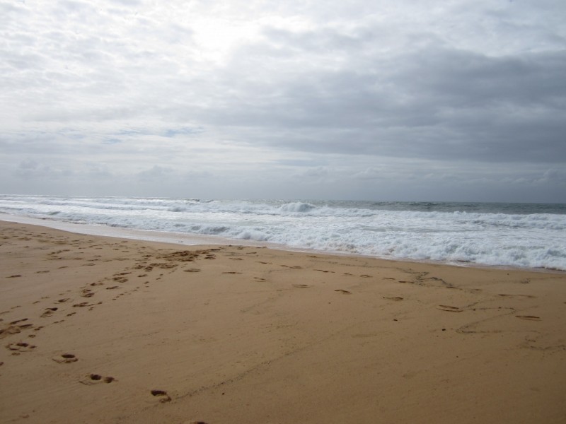 85 Blue Bell Drive, Wamberal NSW 2260