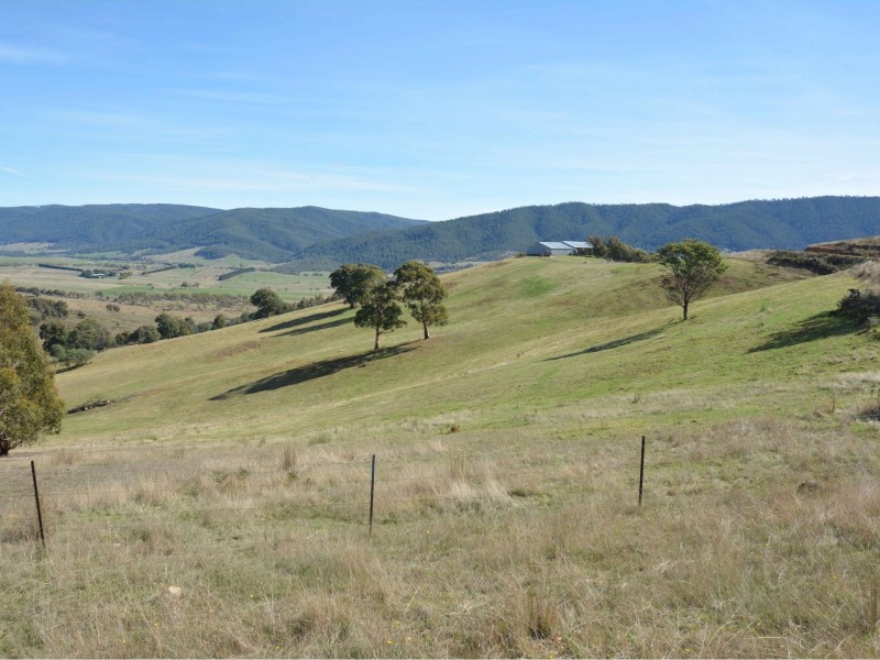 61 Leonard Drive, Omeo VIC 3898