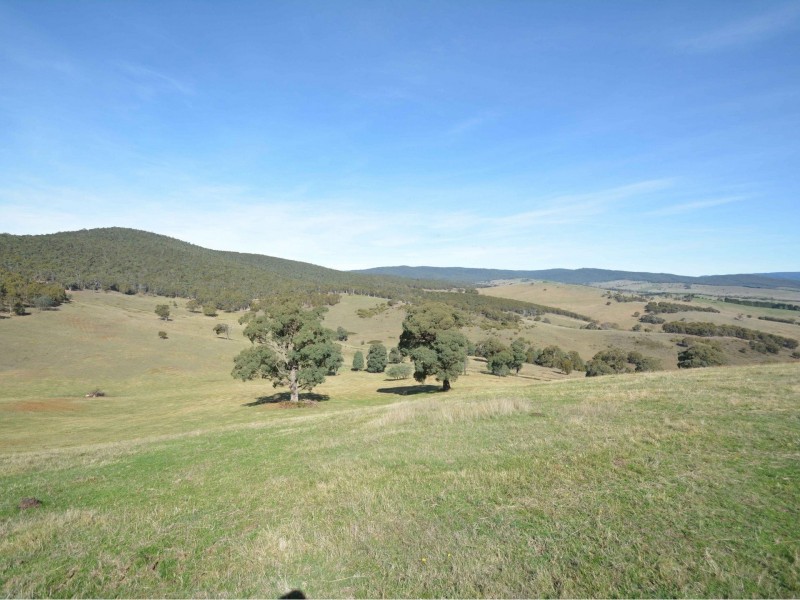 61 Leonard Drive, Omeo VIC 3898