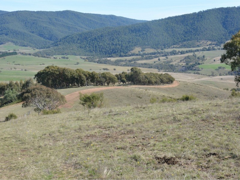 61 Leonard Drive, Omeo VIC 3898