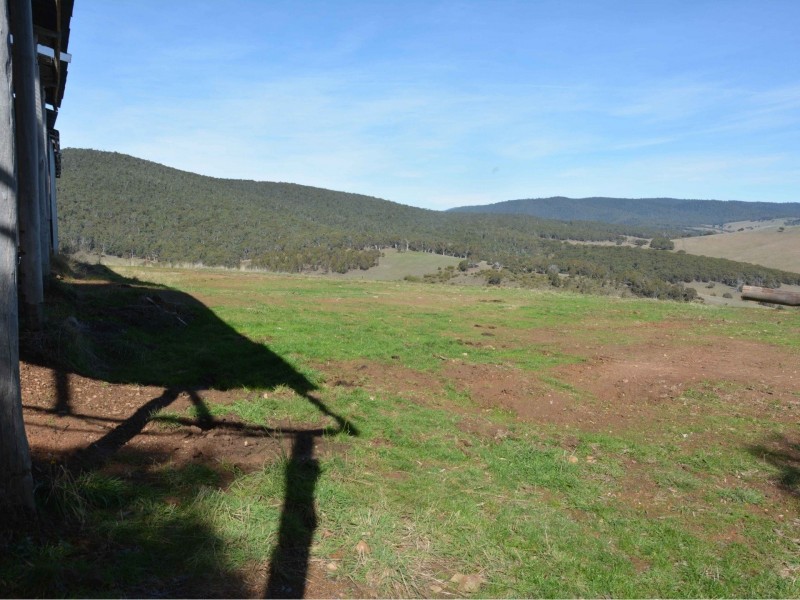 61 Leonard Drive, Omeo VIC 3898