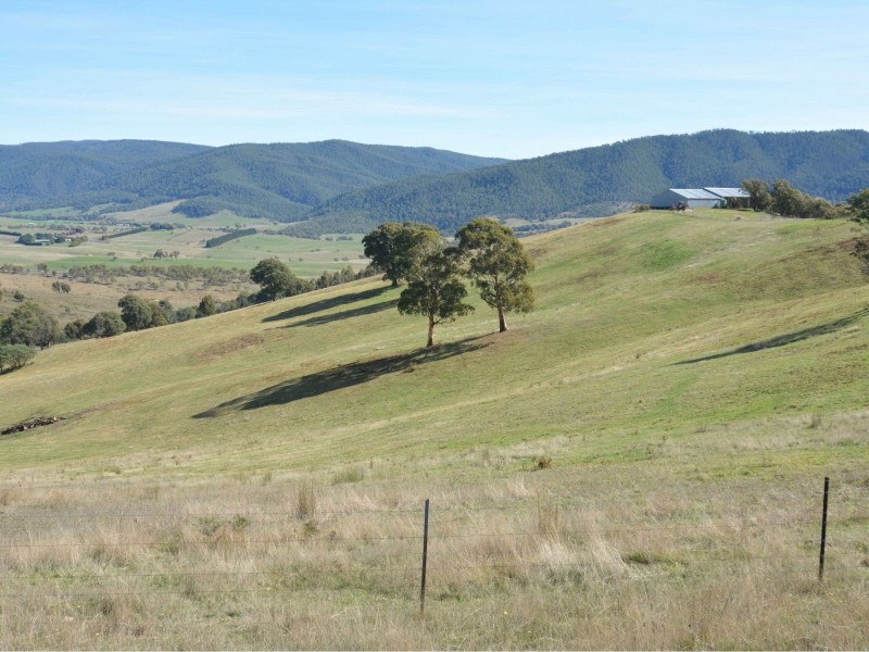 61 Leonard Drive, Omeo VIC 3898