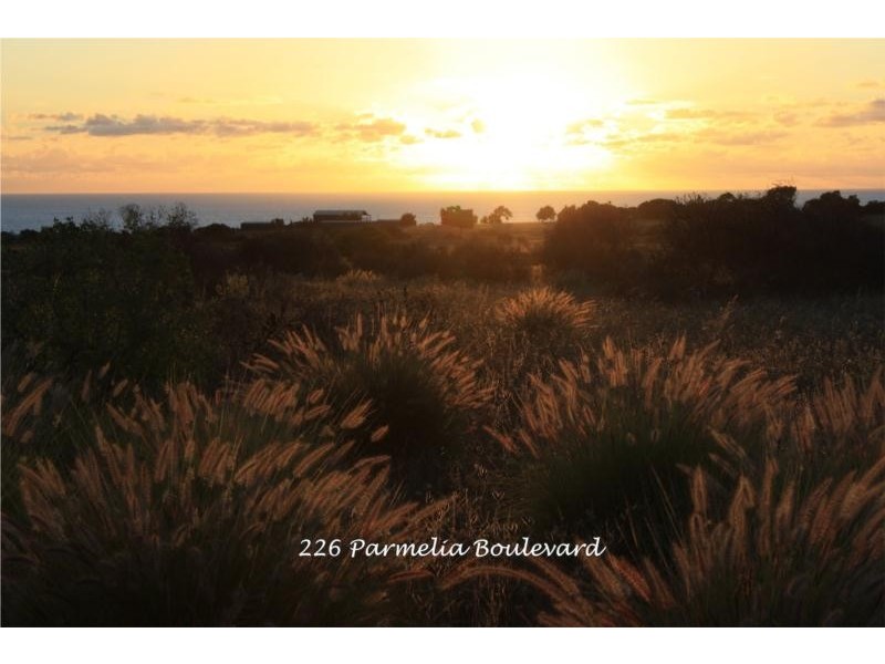 226 Parmelia Boulevard, White Peak WA 6532