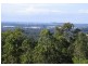 Tallai QLD 4213