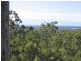 Tallai QLD 4213