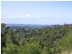 Tallai QLD 4213