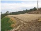 Tallai QLD 4213