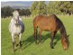 Lot 1 Nubeena Back Road, Koonya TAS 7187