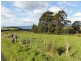 Lot 1 Nubeena Back Road, Koonya TAS 7187