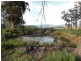 Lot 1 Nubeena Back Road, Koonya TAS 7187