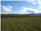 10 Cavalry Line Road, Trig Point Estate, Scone NSW 2337