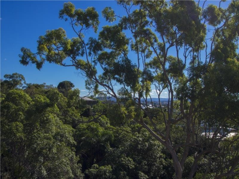 16 Taylor Street, Balmoral QLD 4171