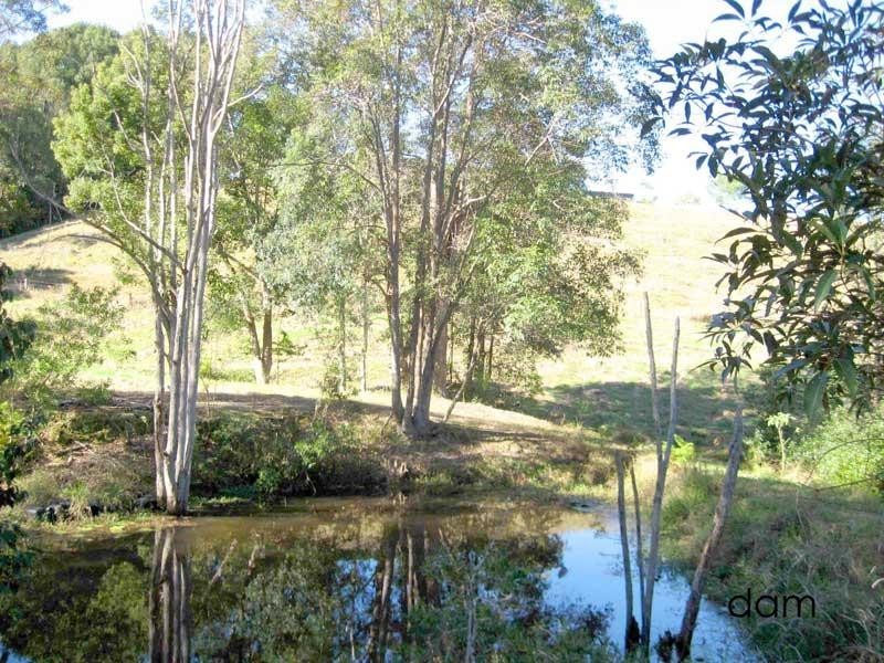 16 Teak Place, Nobbys Creek NSW 2484